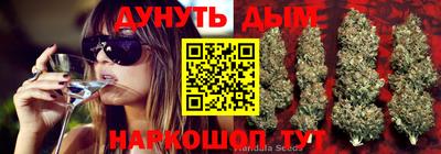 соль ск Ипатово