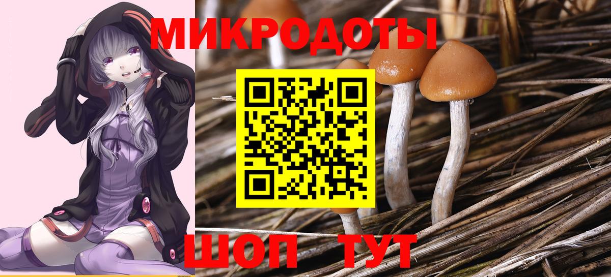 Псилоцибиновые грибы Psilocybe  Вход с VPN  Галлюциногенные грибы ЛСД  купить наркотик  Кизилюрт 